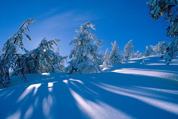 Paisaje de invierno. día frío