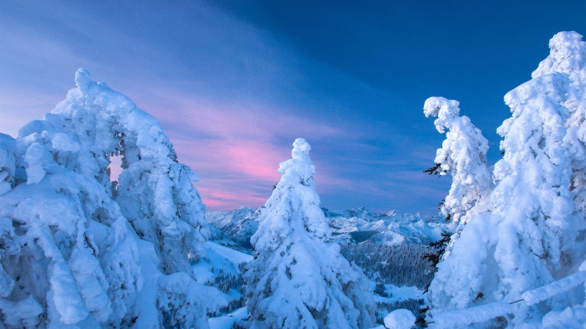 hiver neige glace froid nature gel montagnes congelé à l extérieur paysage voyage haute