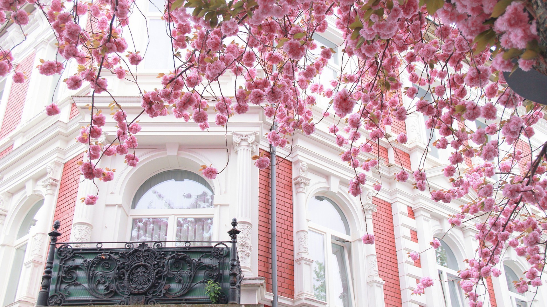 alberi fiore architettura ornamenti