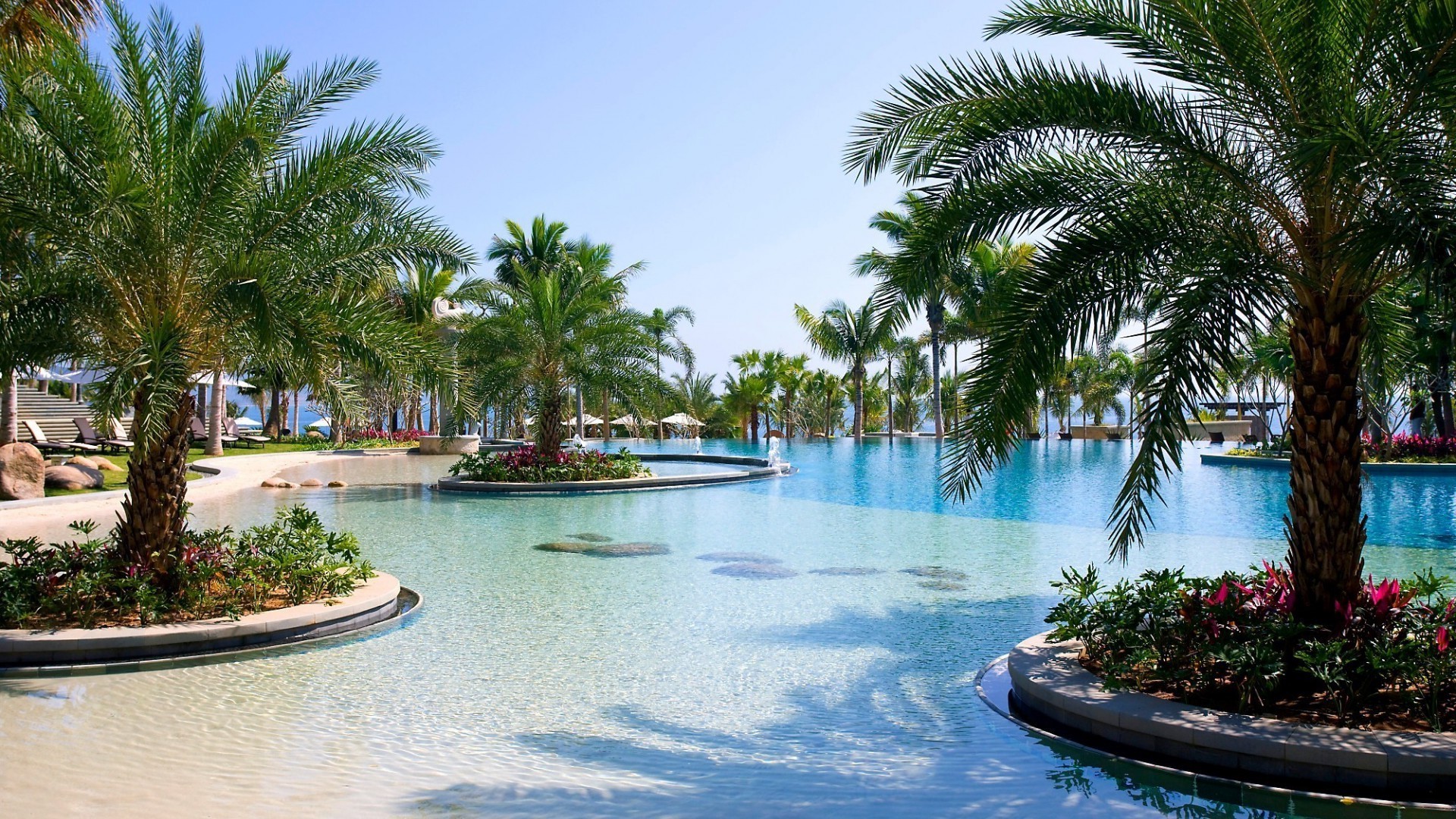 piscines palm hôtel luxe resort tropical vacances voyage paradis piscine plage arbre eau été île piscine détente natation exotique chaise