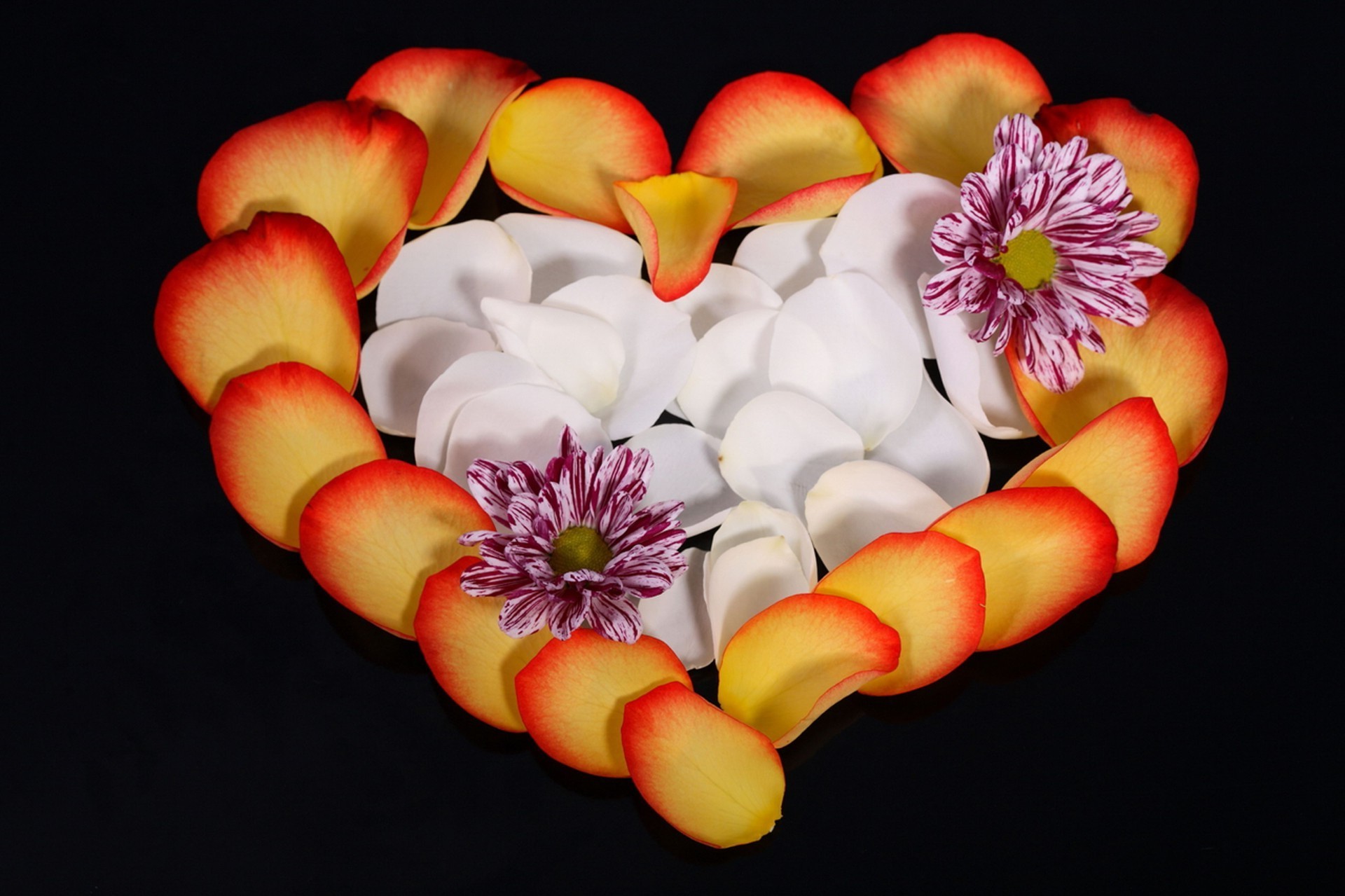 corazones flor amor escritorio naturaleza