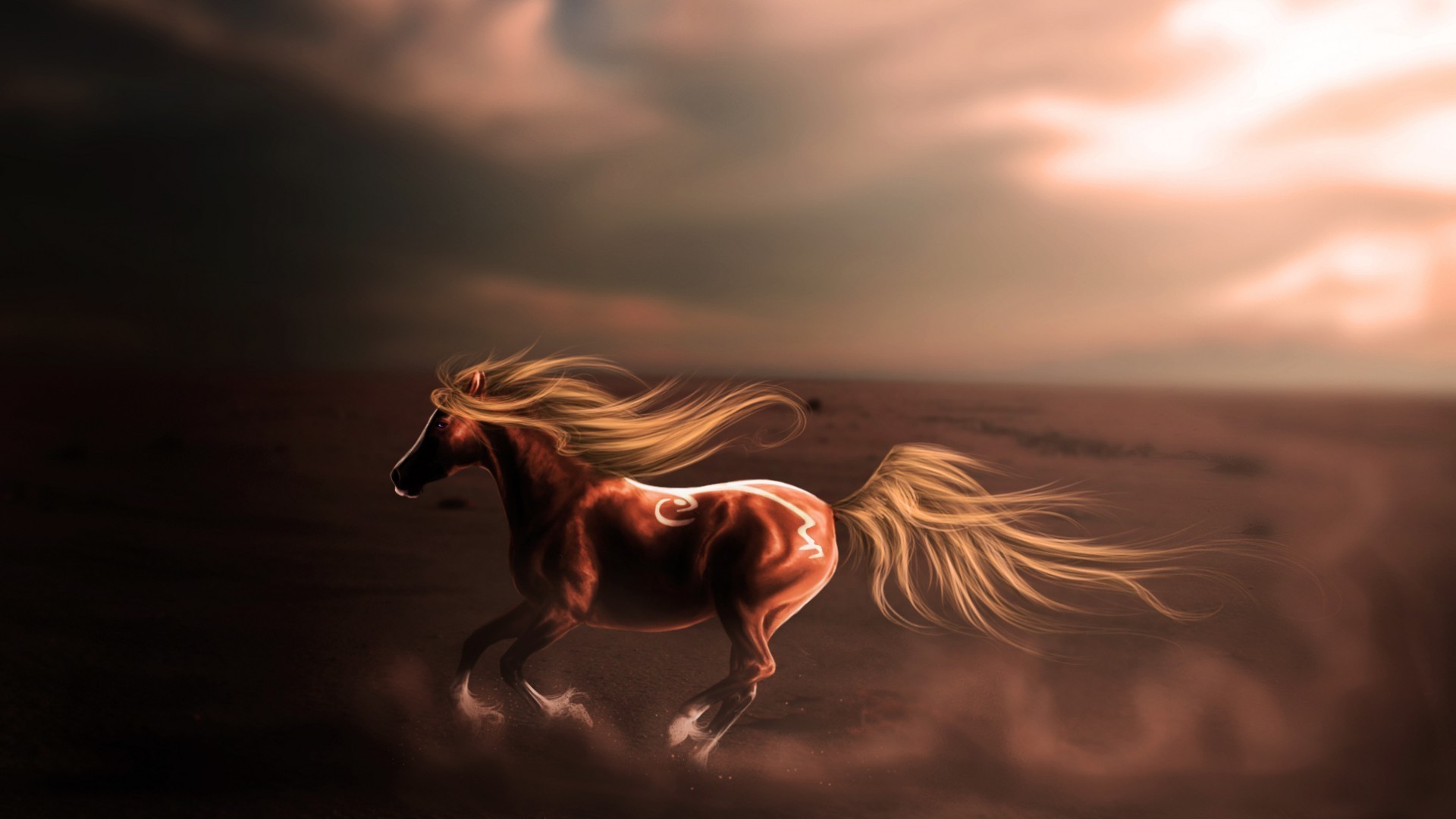 horses sunset evening beach mare reflection cavalry motion water dawn ocean blur sun art sea sky girl backlit landscape