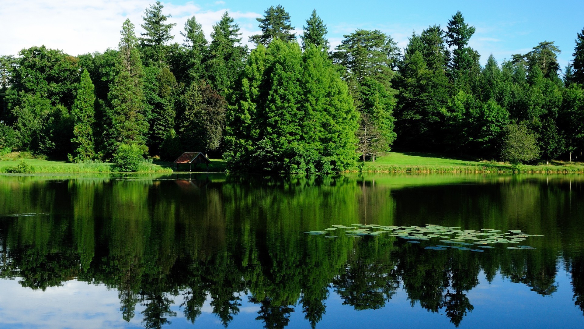 lago agua naturaleza reflexión verano al aire libre río piscina madera árbol paisaje hierba parque escénico cielo sangre fría viajes