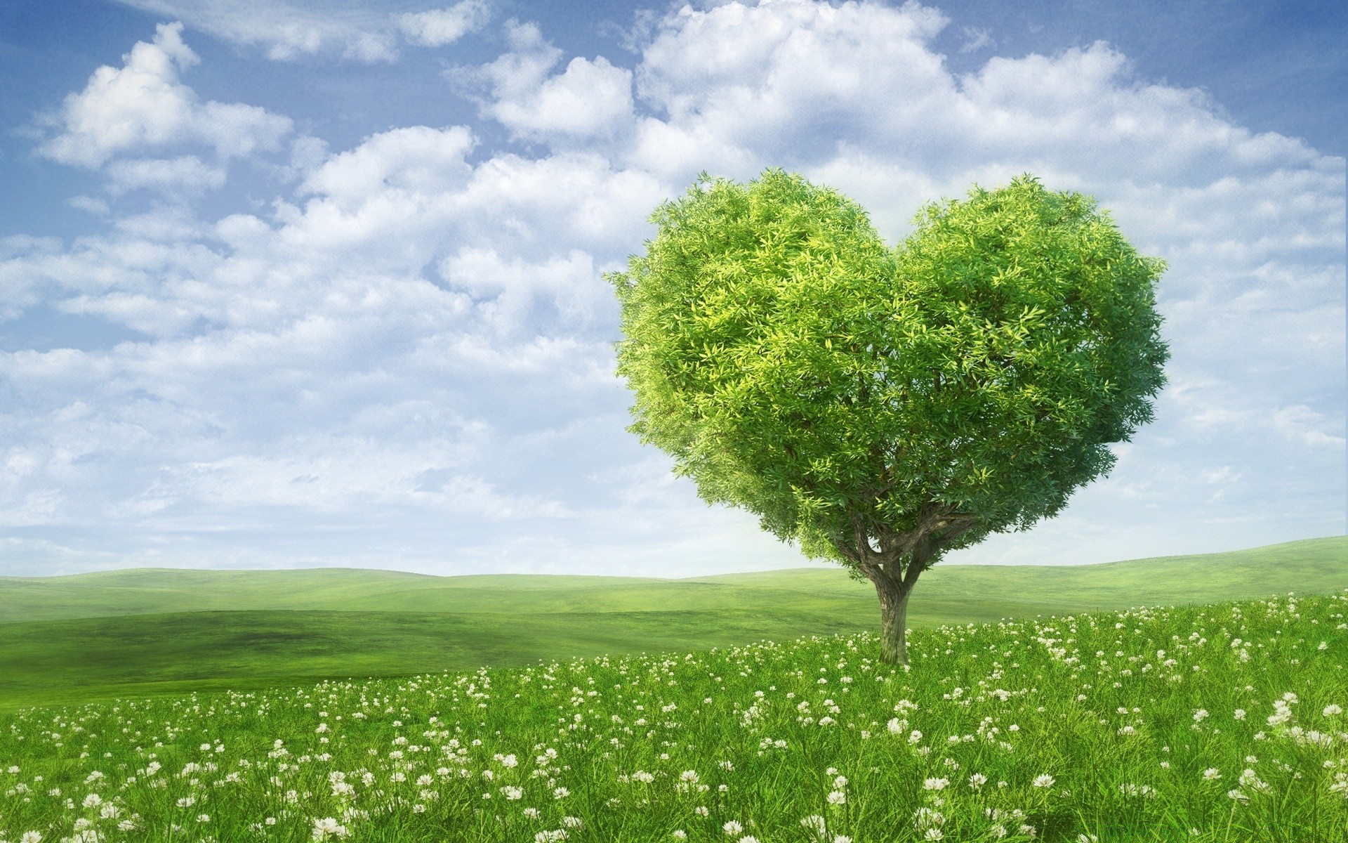 valentinstag landschaft des ländlichen gras feld landschaft heuhaufen landwirtschaft natur wachstum horizont idylle wolke himmel weide sommer im freien baum flora boden