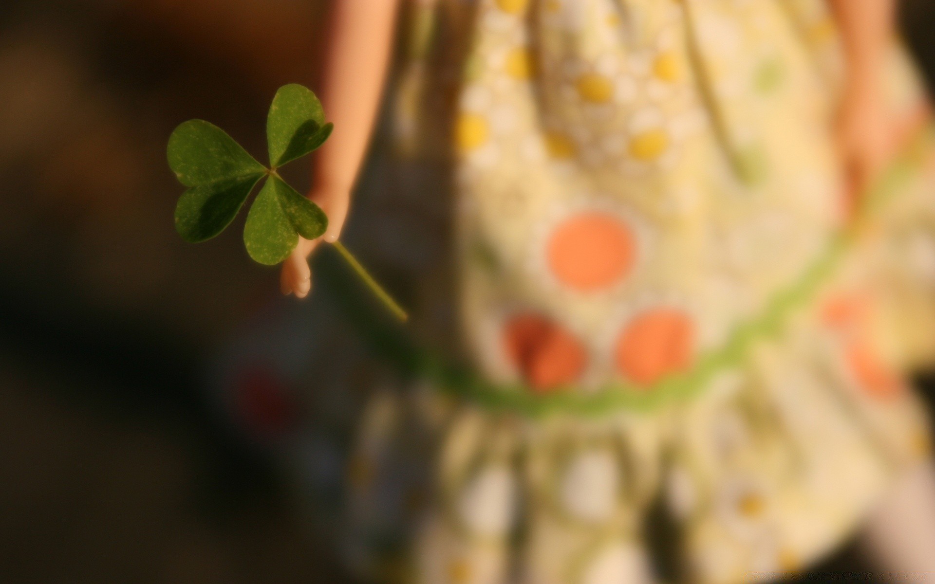 st. patrick s day lebensmittel desktop schließen blatt gemüse farbe gesund obst