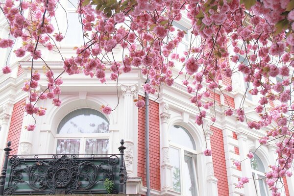 Die Stadtarchitektur ist mit Blumen geschmückt