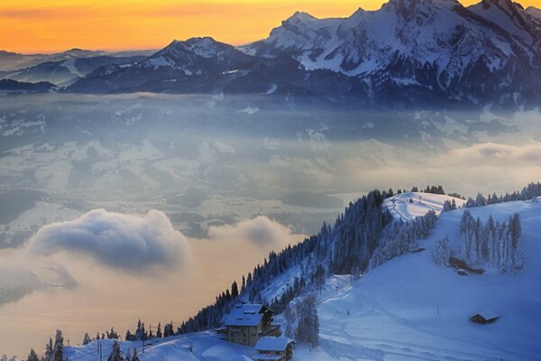 Beau fond avec des montagnes enneigées et forêt