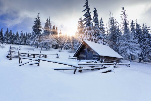 Casa velha coberta de neve na floresta