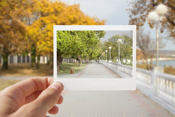 Paseo de la ciudad en otoño y primavera