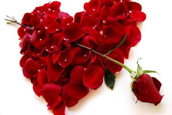 Heart of red petals with a rose instead of an arrow