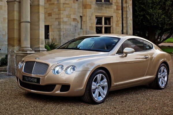 A chic car on the background of a mansion