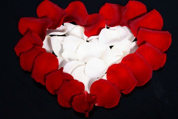 Płatki róż ułożone w kształcie serca