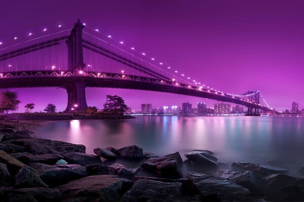 Beautifully illuminated bridge with lights