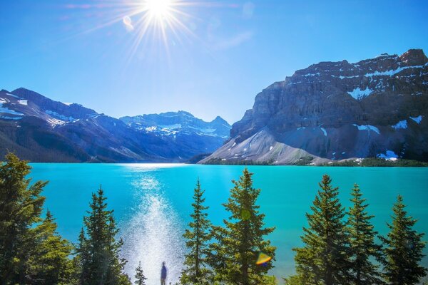 Il sole illumina con la sua luce un bellissimo angolo della natura