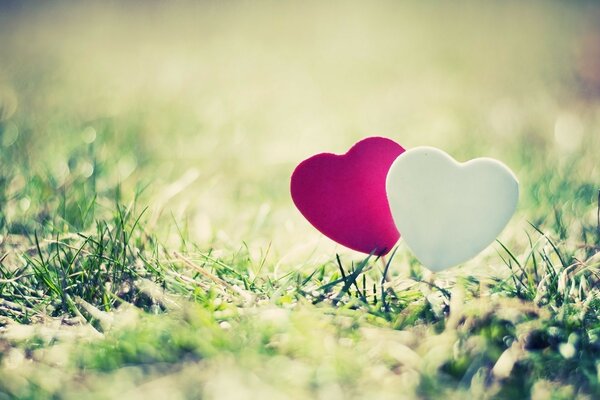 Two multicolored hearts on the background of nature