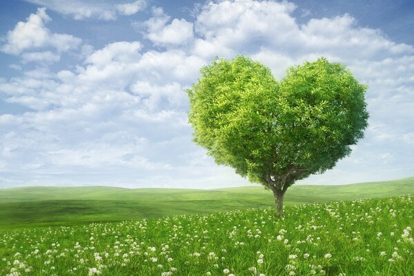 Hermoso corazón de árbol verde