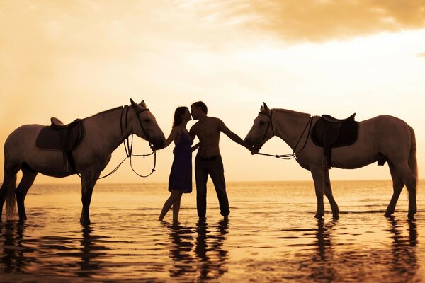 Pareja enamorada con caballos al atardecer