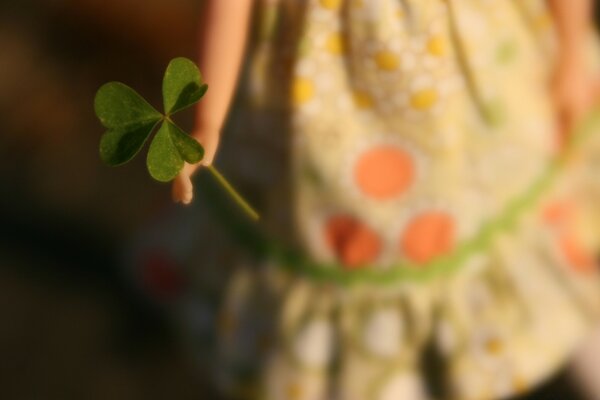 Main tenant une plante verte