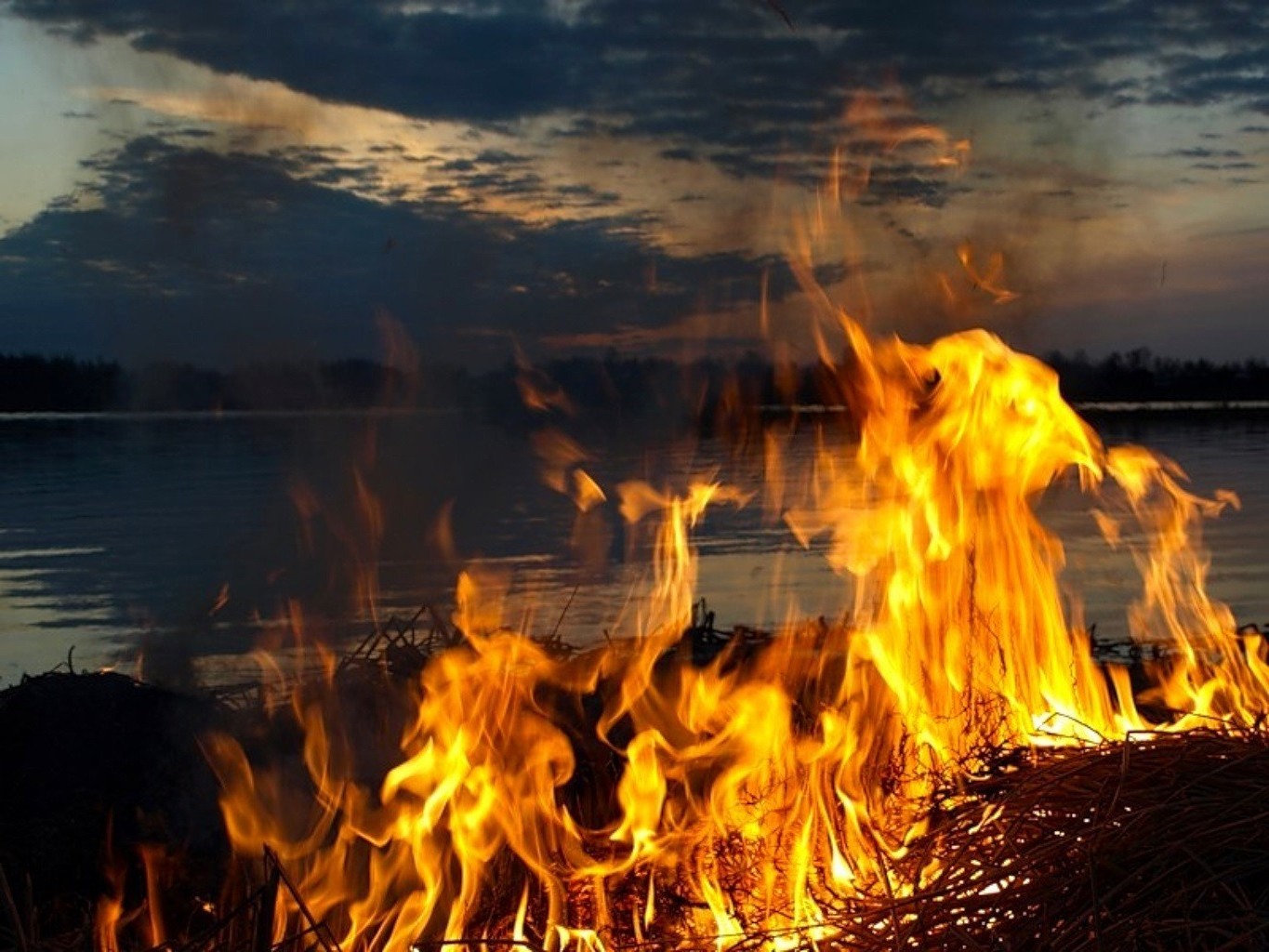 fuego llama fogata fogata calor caliente leña fuego blaze inferno chimenea carbón quemar humo calor peligro carbón campamento inflamable ceniza combustible