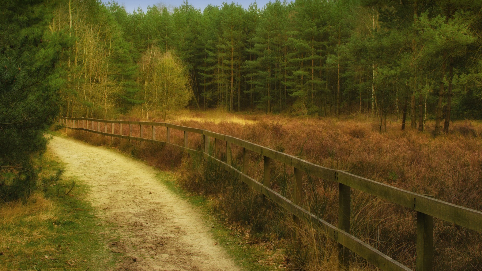 wald landschaft holz natur baum gras straße im freien führung zaun umwelt land reisen