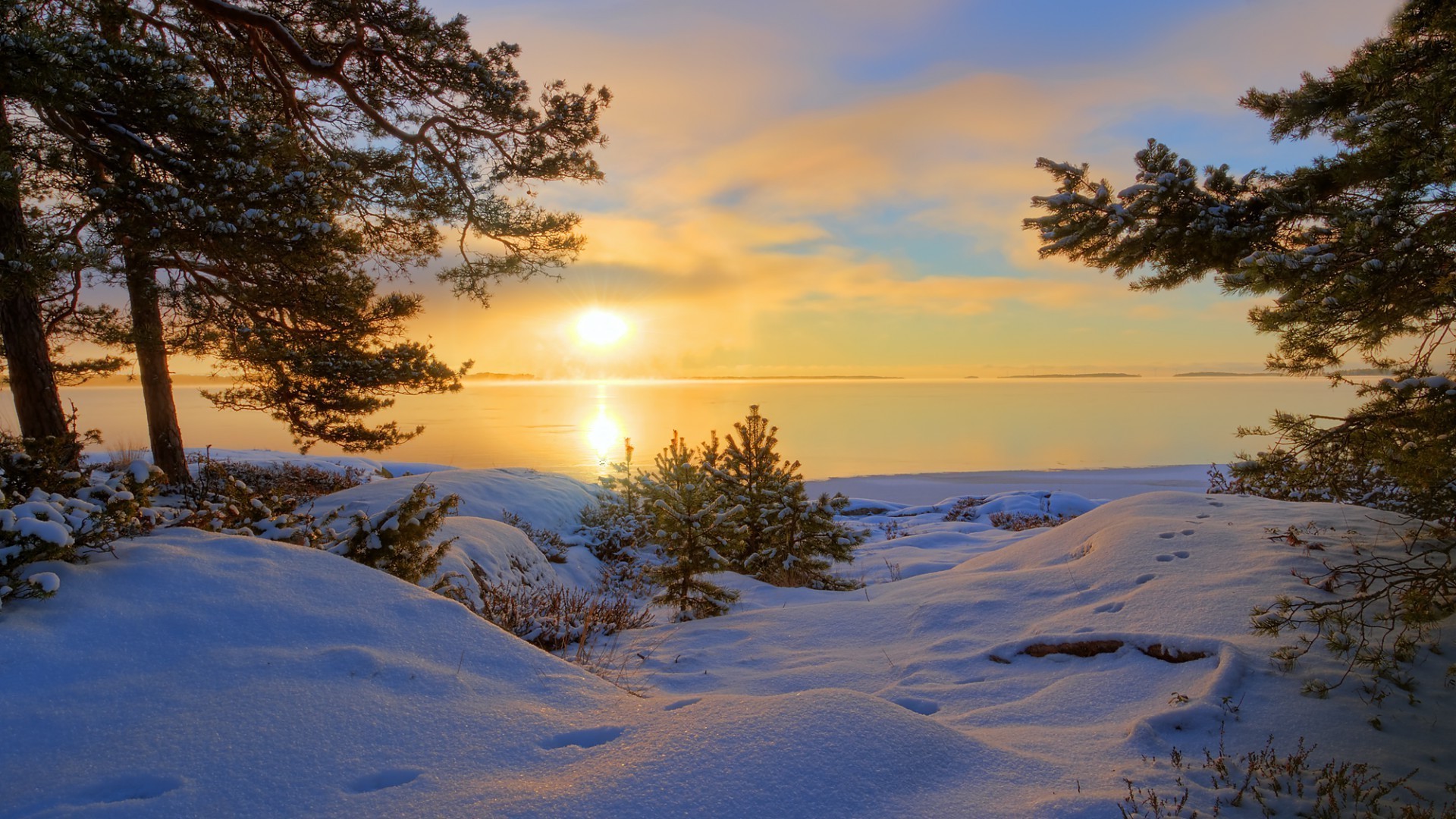 winter tree sunset landscape dawn snow water nature sun evening lake sky fair weather light reflection outdoors frozen cold dusk