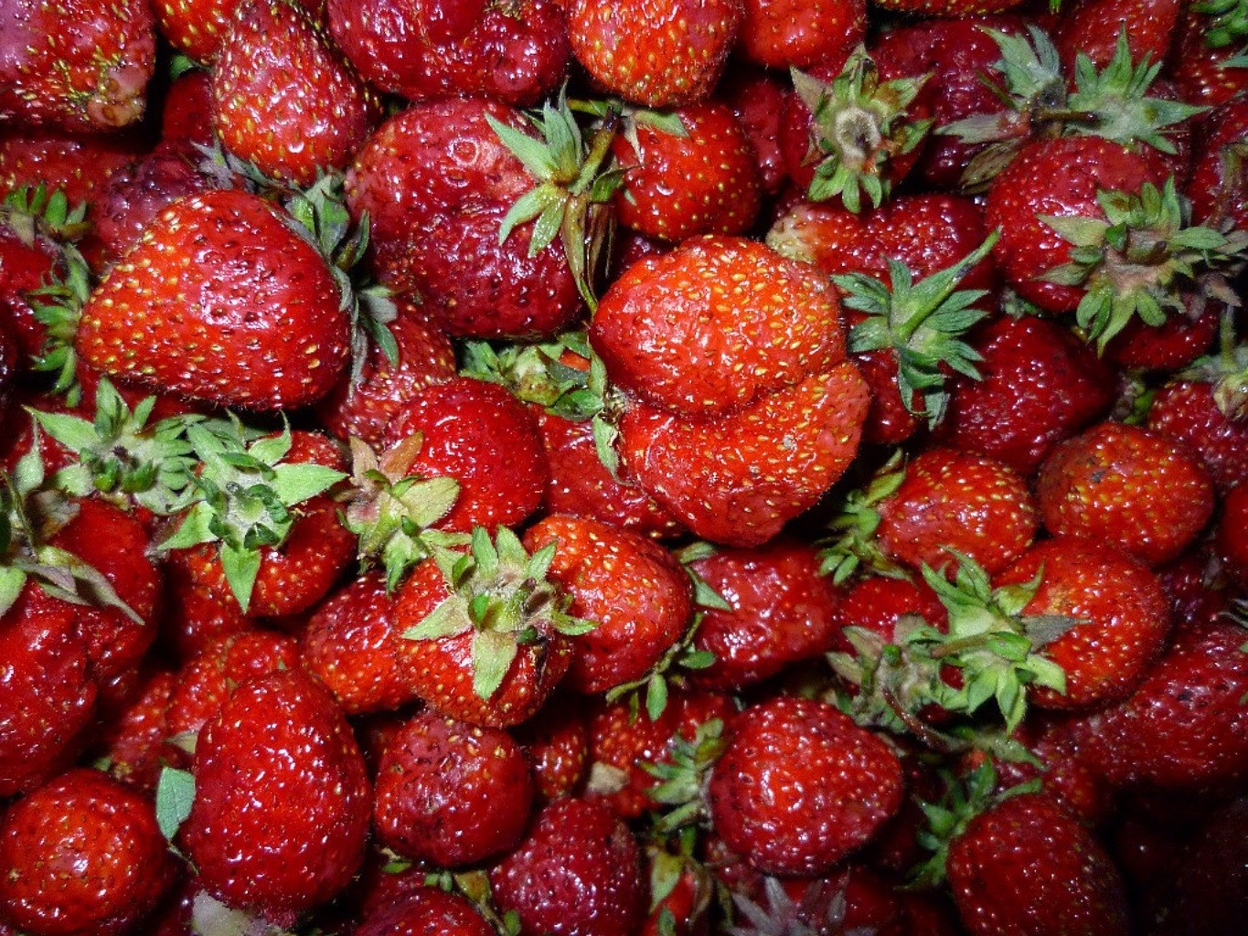 baies fraise fruits baie juteuse en bonne santé alimentaire doux délicieux santé délicieux régime alimentaire confiserie alimentaire fraîcheur rafraîchissement feuille marché jardin grandir