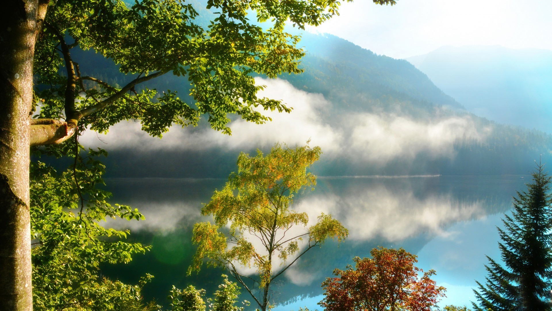 montagna albero natura paesaggio legno foglia cielo autunno all aperto scenico bel tempo stagione estate alba sole luminoso ambiente nebbia paesaggio parco