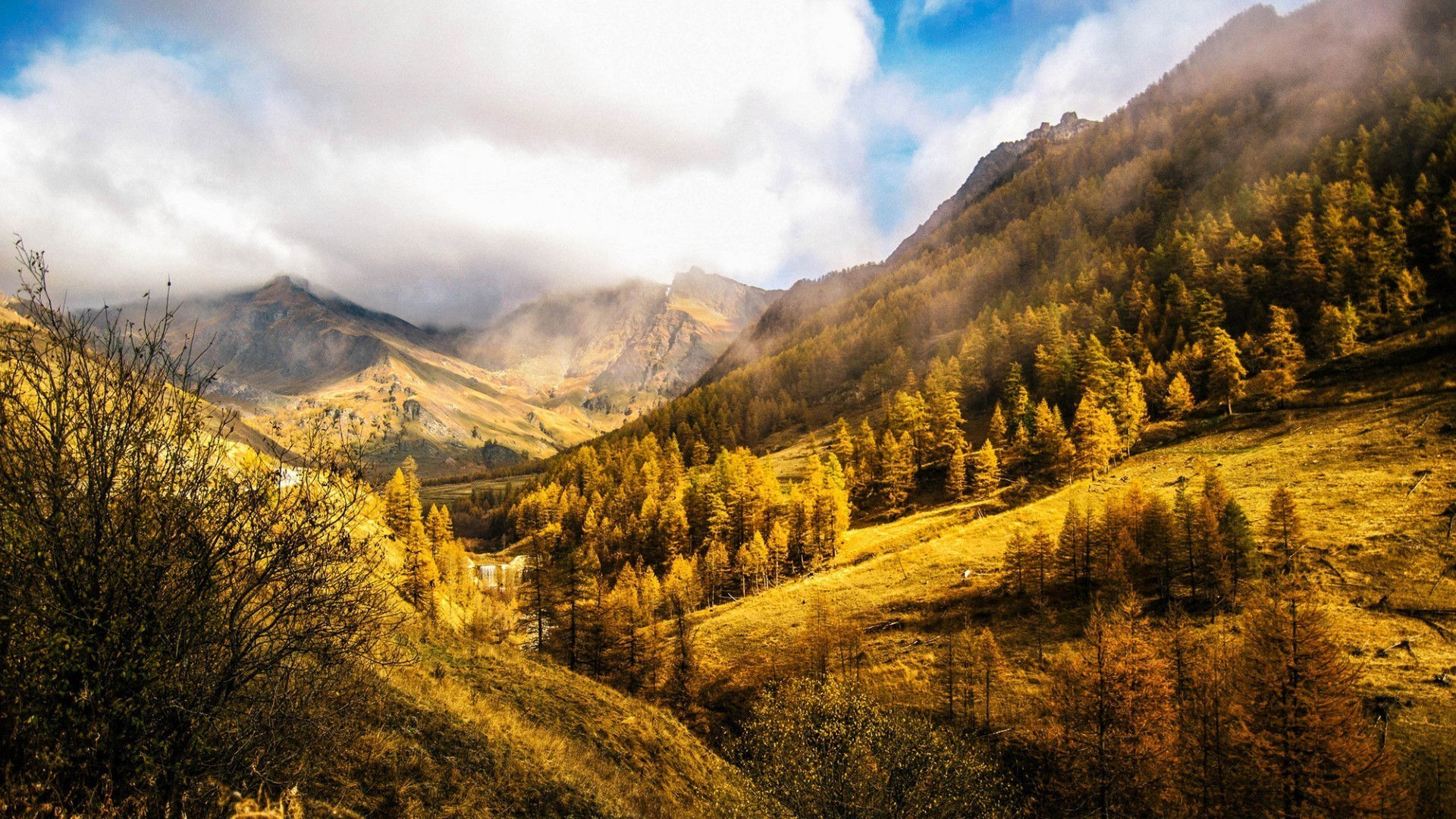 autumn landscape mountain scenic outdoors wood fall nature tree travel snow valley daylight sky hill