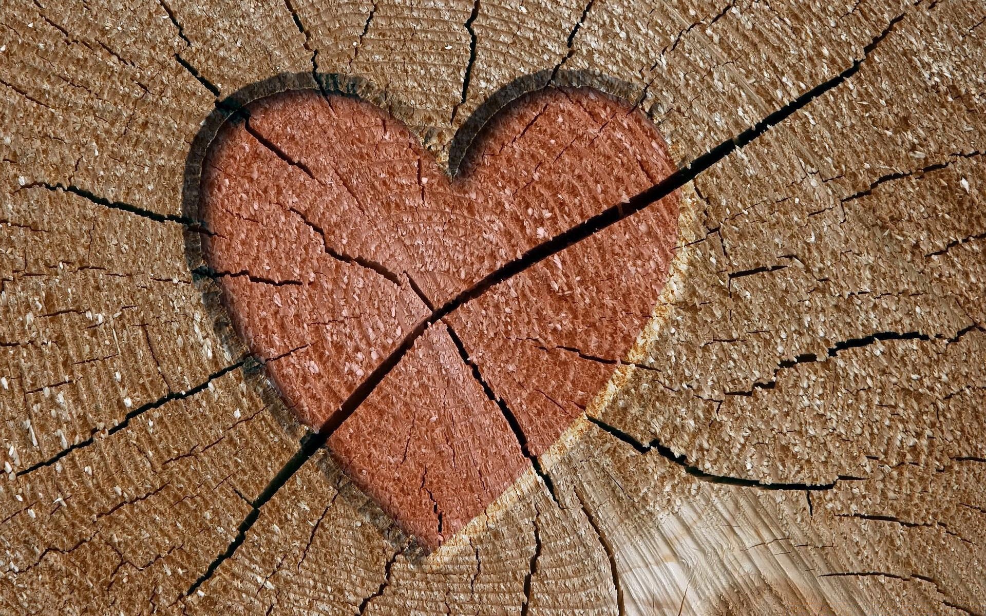 valentine s day texture desktop pattern close-up wood nature abstract old surface log dry bark crack rough fabric tree