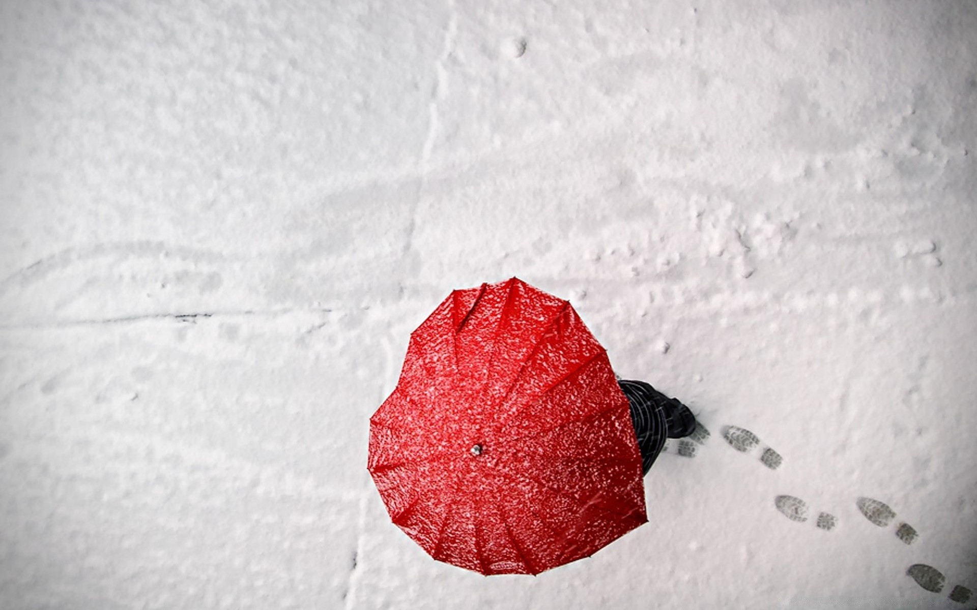 dia dos namorados neve comida natureza sozinho inverno ainda vida frio