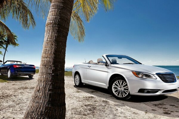 The car is parked on the beach under a palm tree