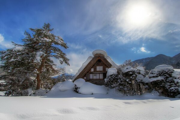 A snow-covered house on the outskirts of the city