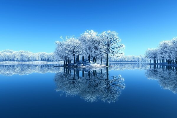 The lake and the frozen trees around