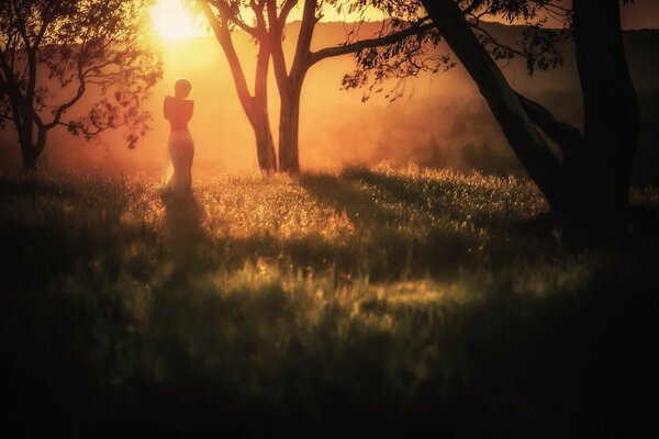 Mysterious silhouette of a girl in a gloomy forest