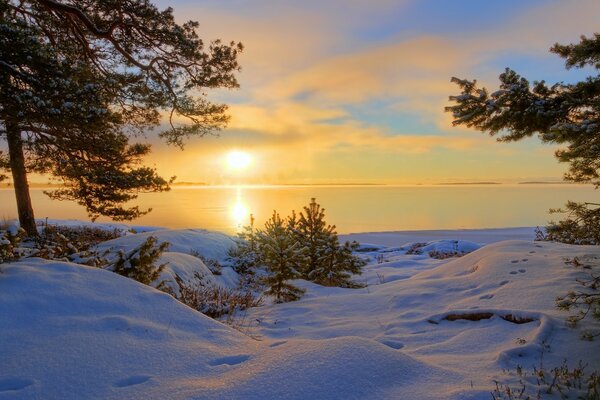 View from the forest to the lake in winter at sunset