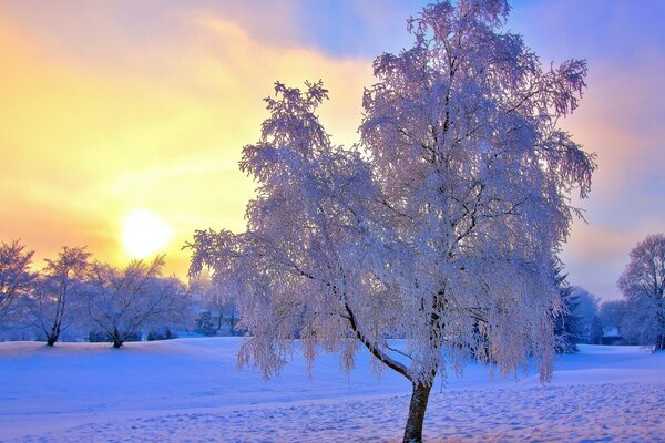 Kalte Landschaft und frostige Sonne