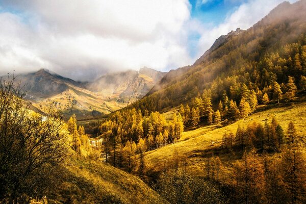 कोहरे में शरद ऋतु परिदृश्य पहाड़