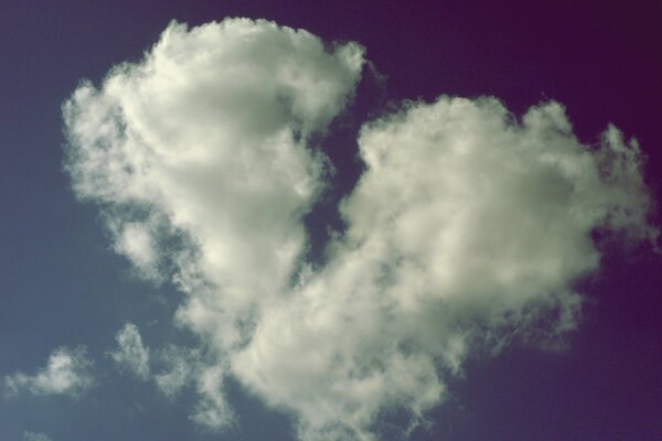 Amor en todas partes, en el cielo, en la naturaleza