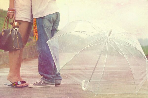 Les amoureux s embrassent sur la piste se trouve un parapluie