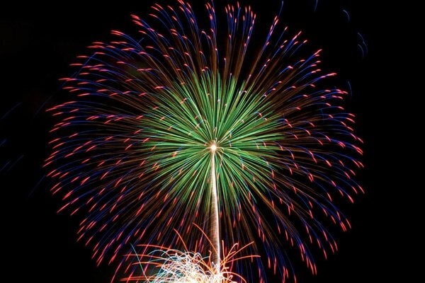 Un saluto incantevole al Festival dei fuochi d artificio