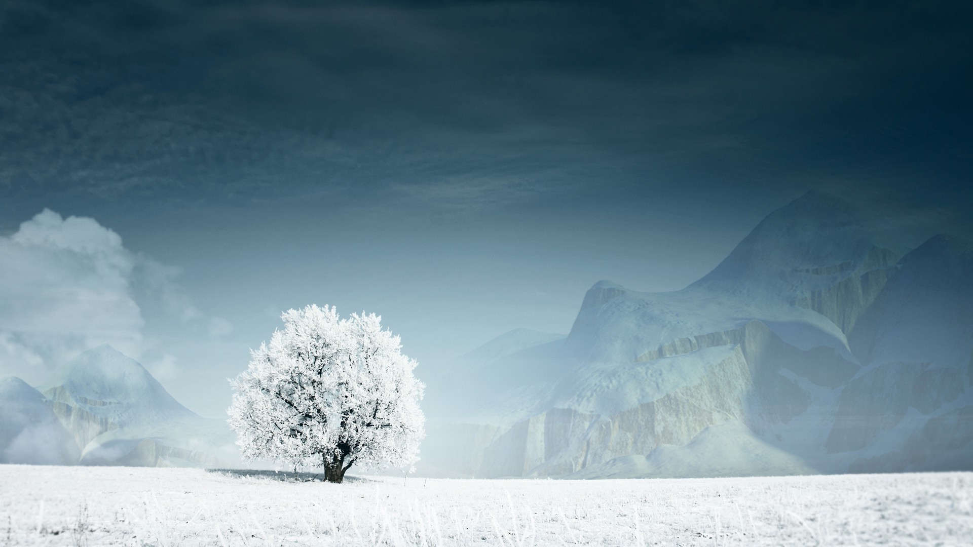 invierno nieve frío hielo naturaleza agua niebla paisaje congelado cielo niebla escarcha al aire libre clima viajes