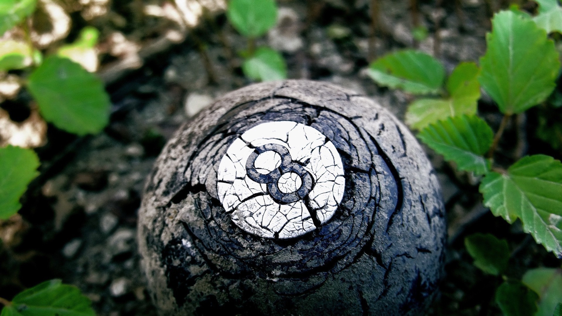 creativo natura foglia desktop legno flora legno primo piano ambiente modello all aperto struttura