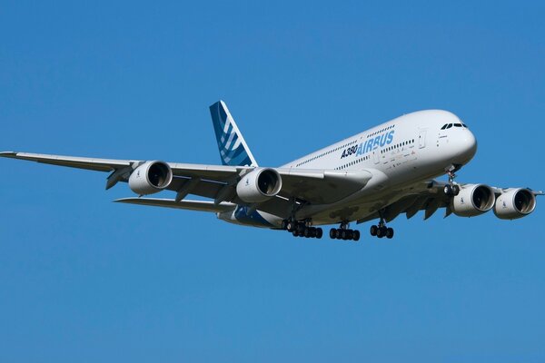 Avion volant sur fond bleu