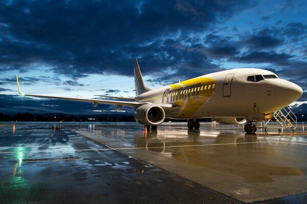 Huge airliner at the airport