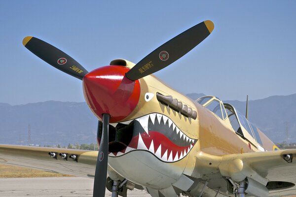 El avión está parado en el aeródromo durante el día