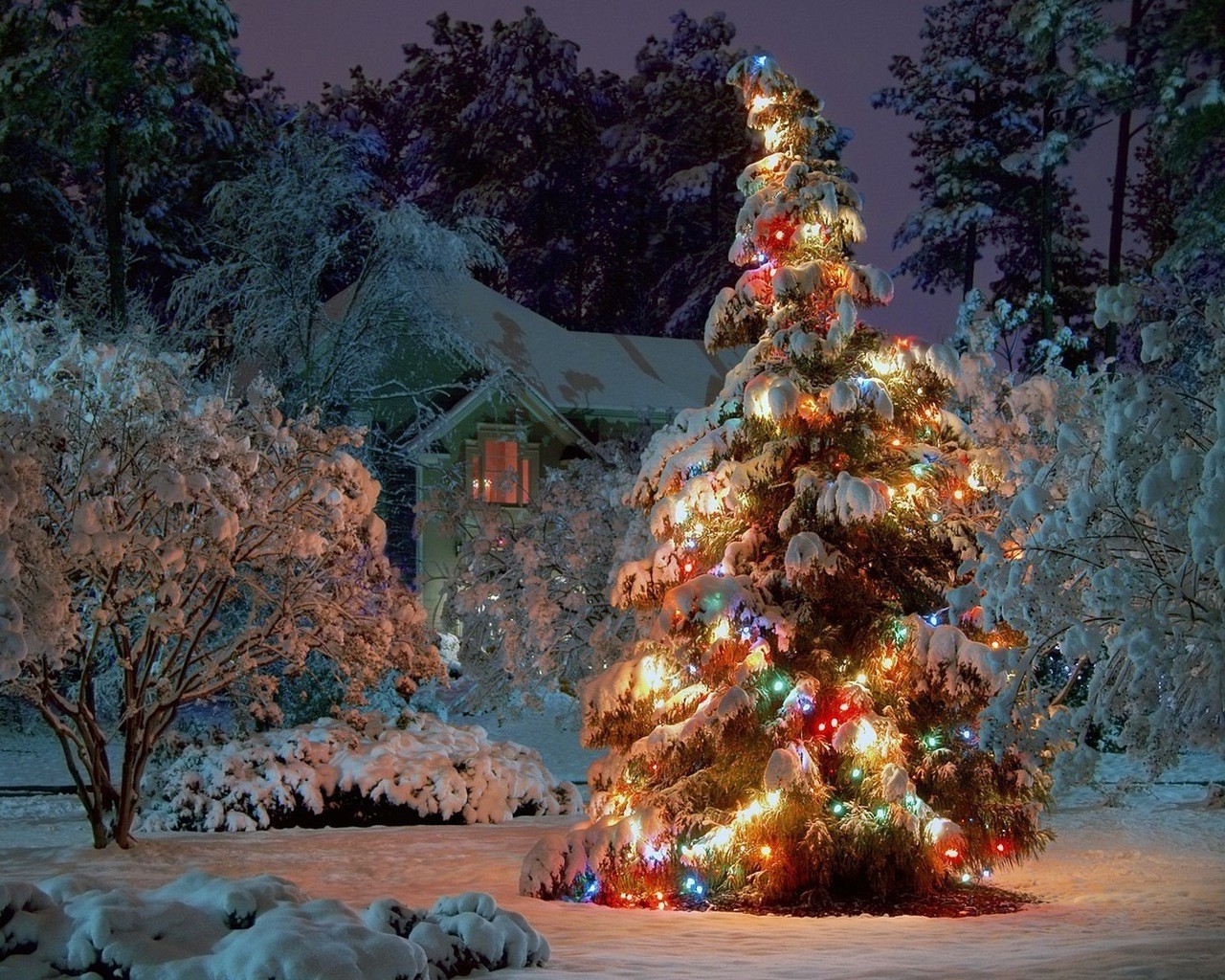 nouvel an hiver arbre noël neige à l extérieur traditionnel voyage