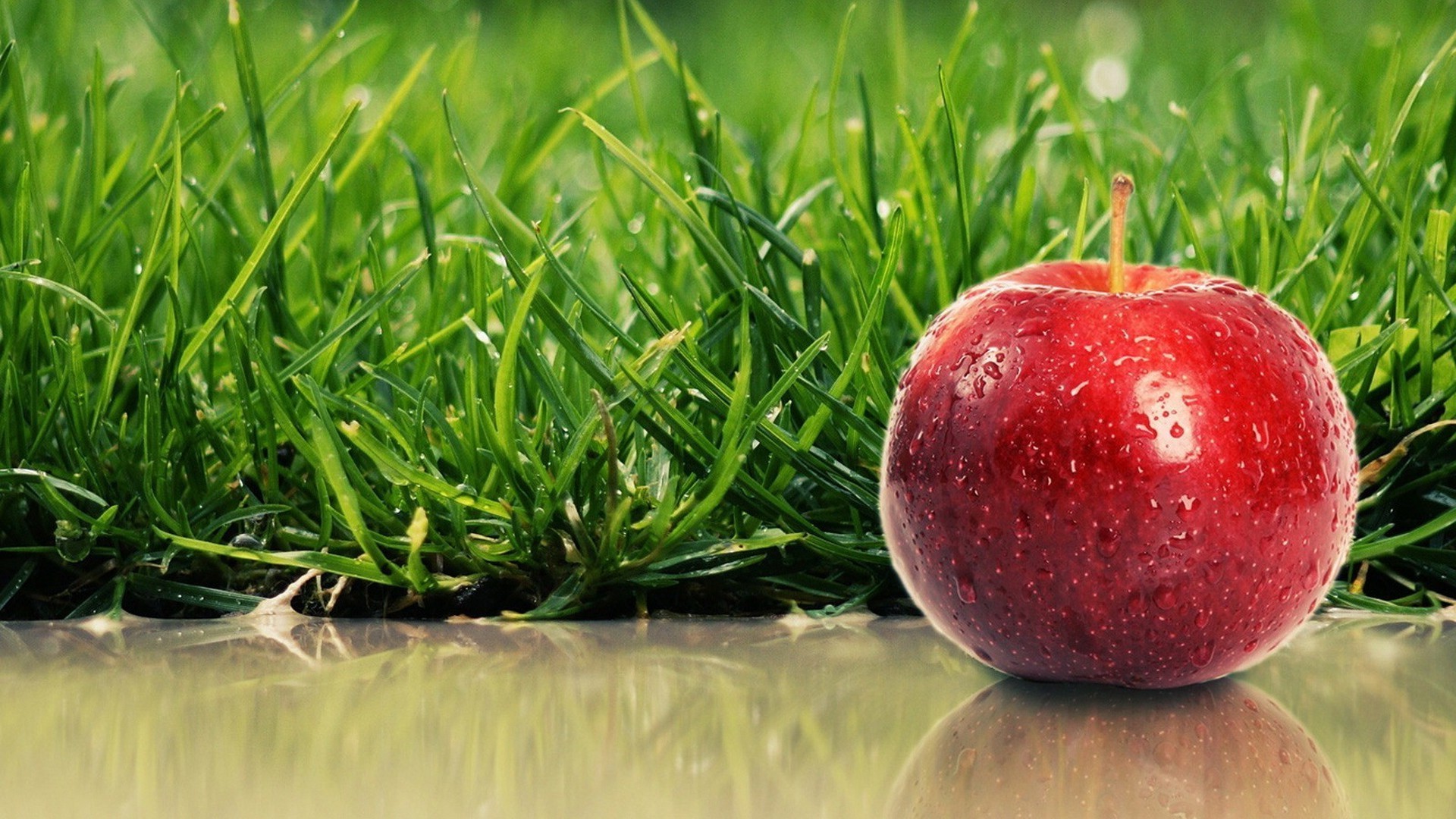 fruit grass food nature summer pasture garden leaf field