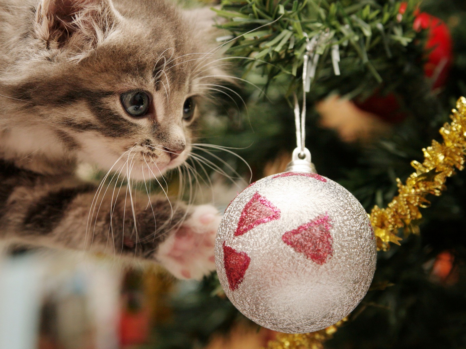 new year christmas ball winter cute