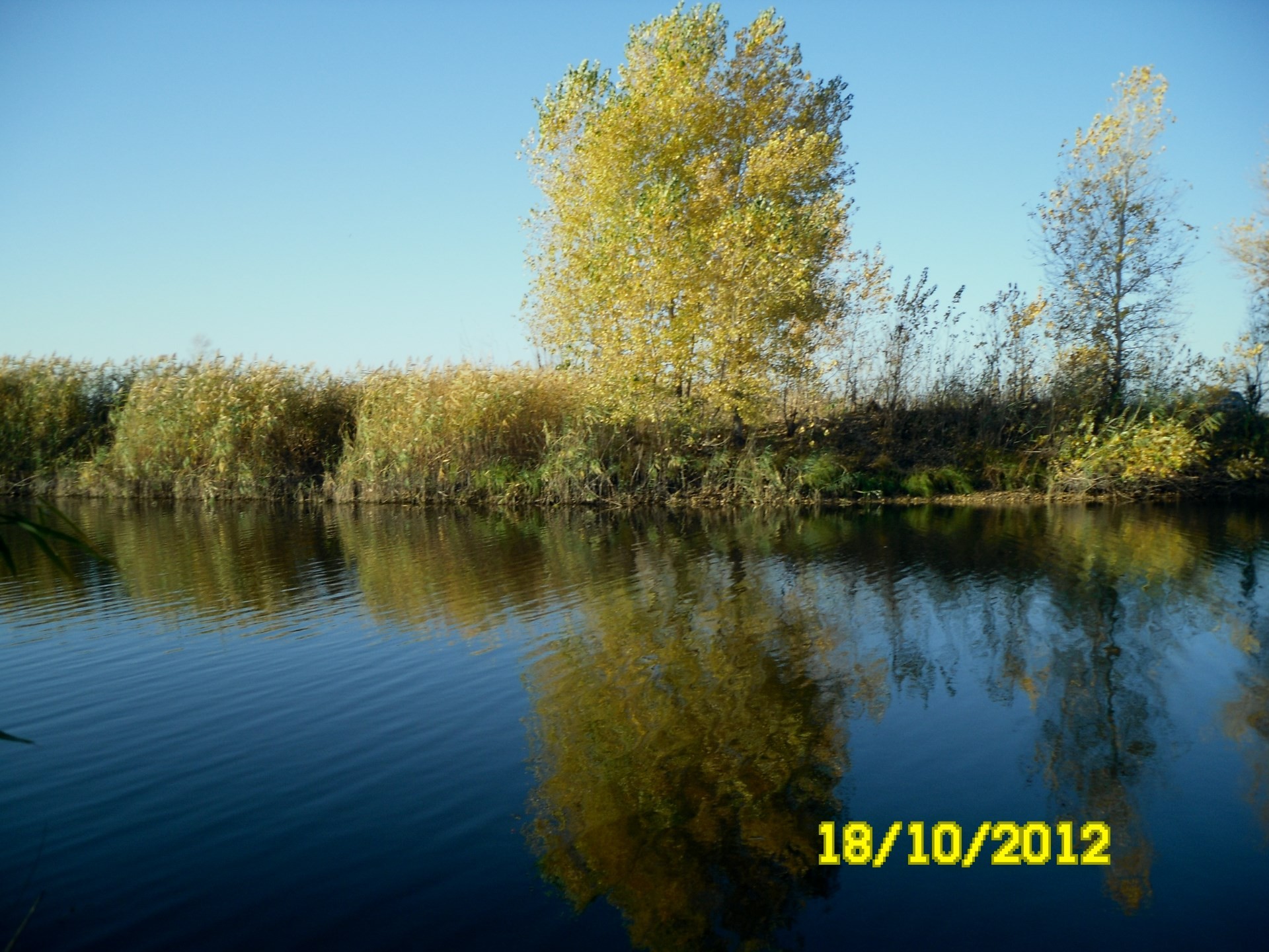 native open spaces fall nature tree lake reflection water outdoors river landscape fair weather leaf bright pool season composure sky wood rural park