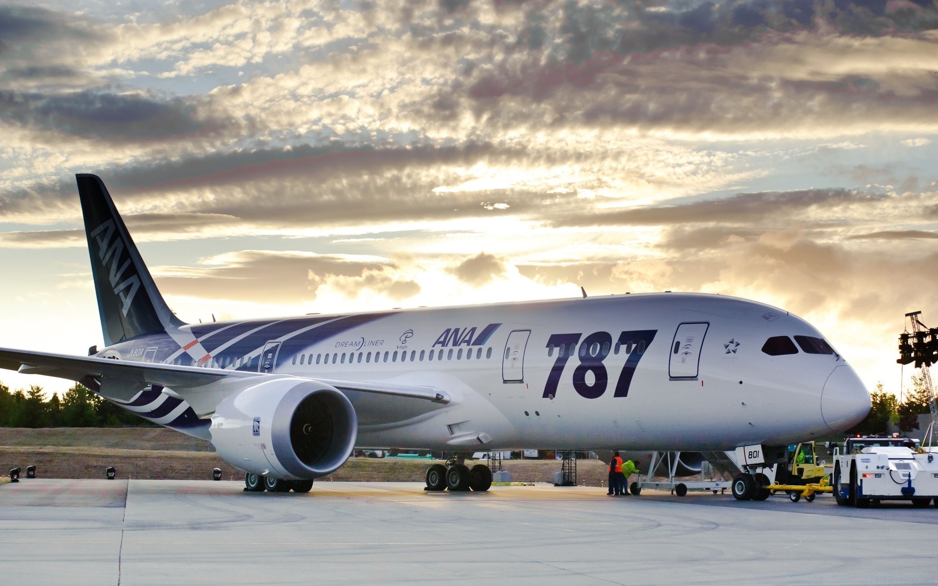 航空 飞机 飞机 机场 飞机 运输系统 飞行 客机 空中客车 航空 出发 汽车 发动机 飞行 到达 机身 旅行 跑道 机翼 起飞